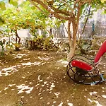 Aloha Vera בית נופש *
