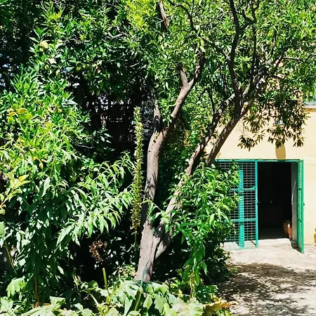 Aloha Vera * Jarandilla de la Vera