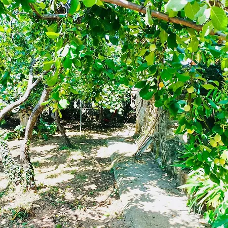 Aloha Vera Ferienhaus