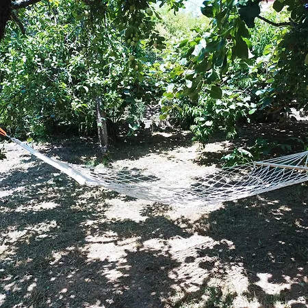 Aloha Vera Jarandilla de la Vera