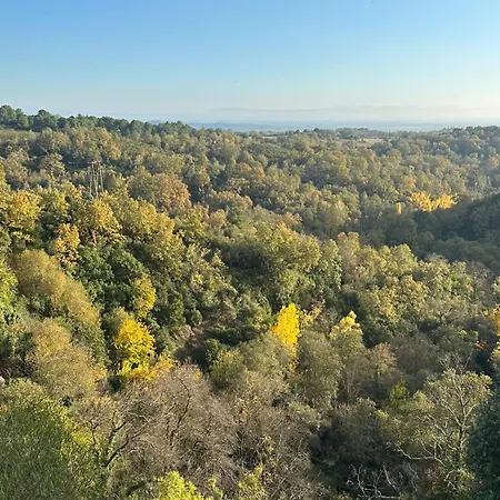 Aloha Vera Ferienhaus