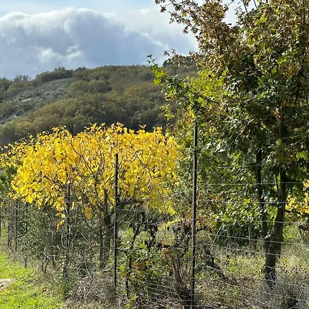 Aloha Vera Jarandilla de la Vera