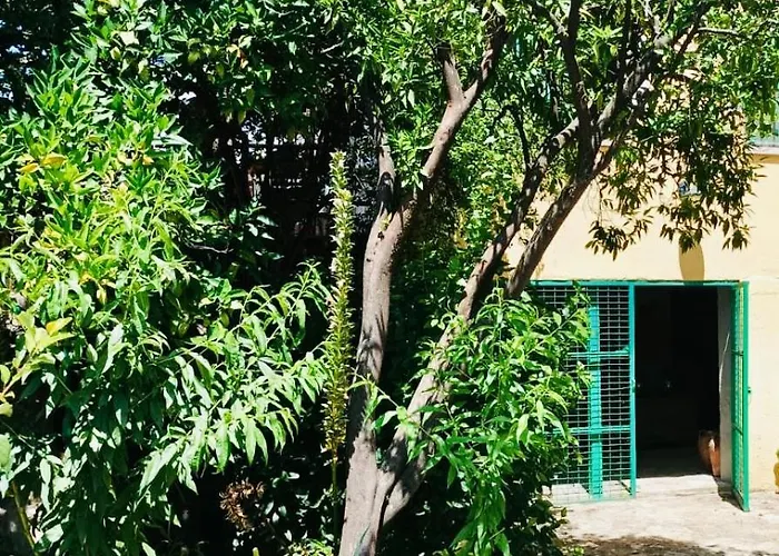 Aloha Vera * Jarandilla de la Vera