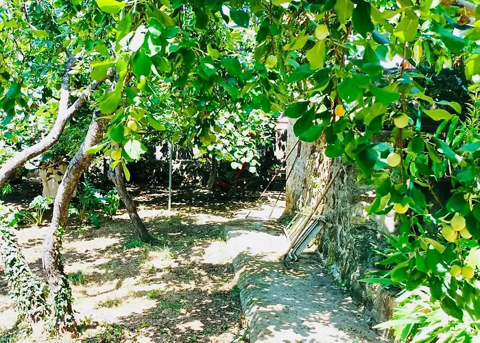 Aloha Vera Holiday home