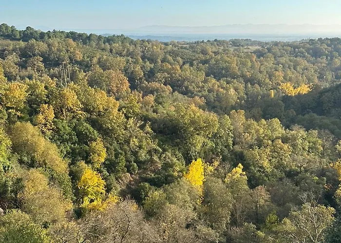 Aloha Vera Holiday home