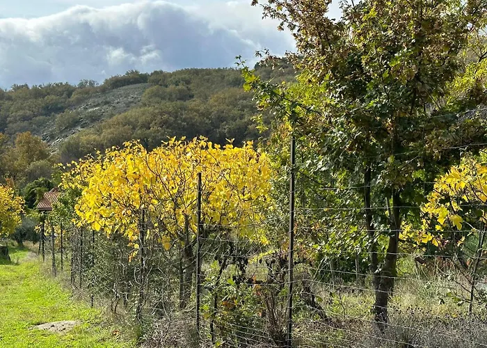 Aloha Vera Jarandilla de la Vera